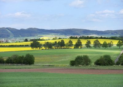 Waidhofen an der Thaya – Land