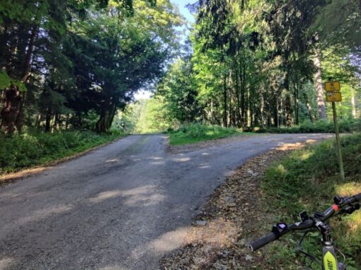 Frauen & Leben im Dorf